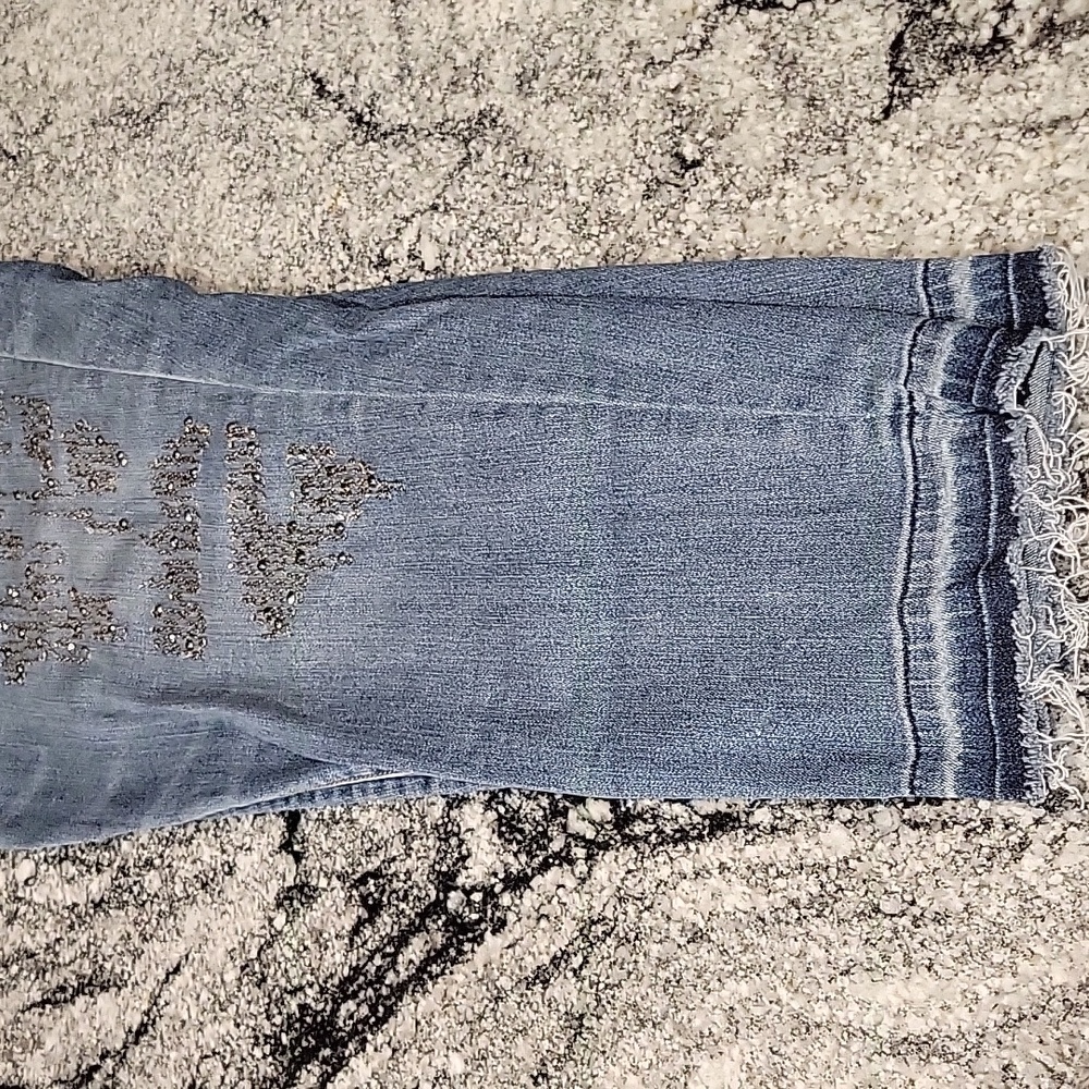Lane Bryant Blue Skinny Jeans with Silver Accents Sz20